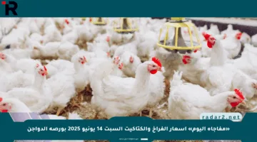 «مفاجأة اليوم» أسعار الفراخ والكتاكيت السبت 14 يونيو 2025 بورصة الدواجن